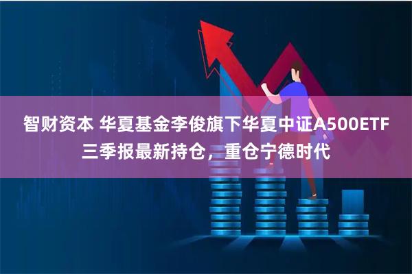 智财资本 华夏基金李俊旗下华夏中证A500ETF三季报最新持仓，重仓宁德时代