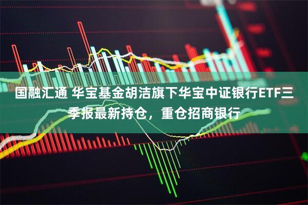 国融汇通 华宝基金胡洁旗下华宝中证银行ETF三季报最新持仓，重仓招商银行